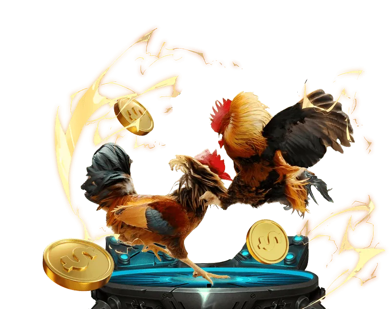 Cấu trúc hoa hồng 8day pro